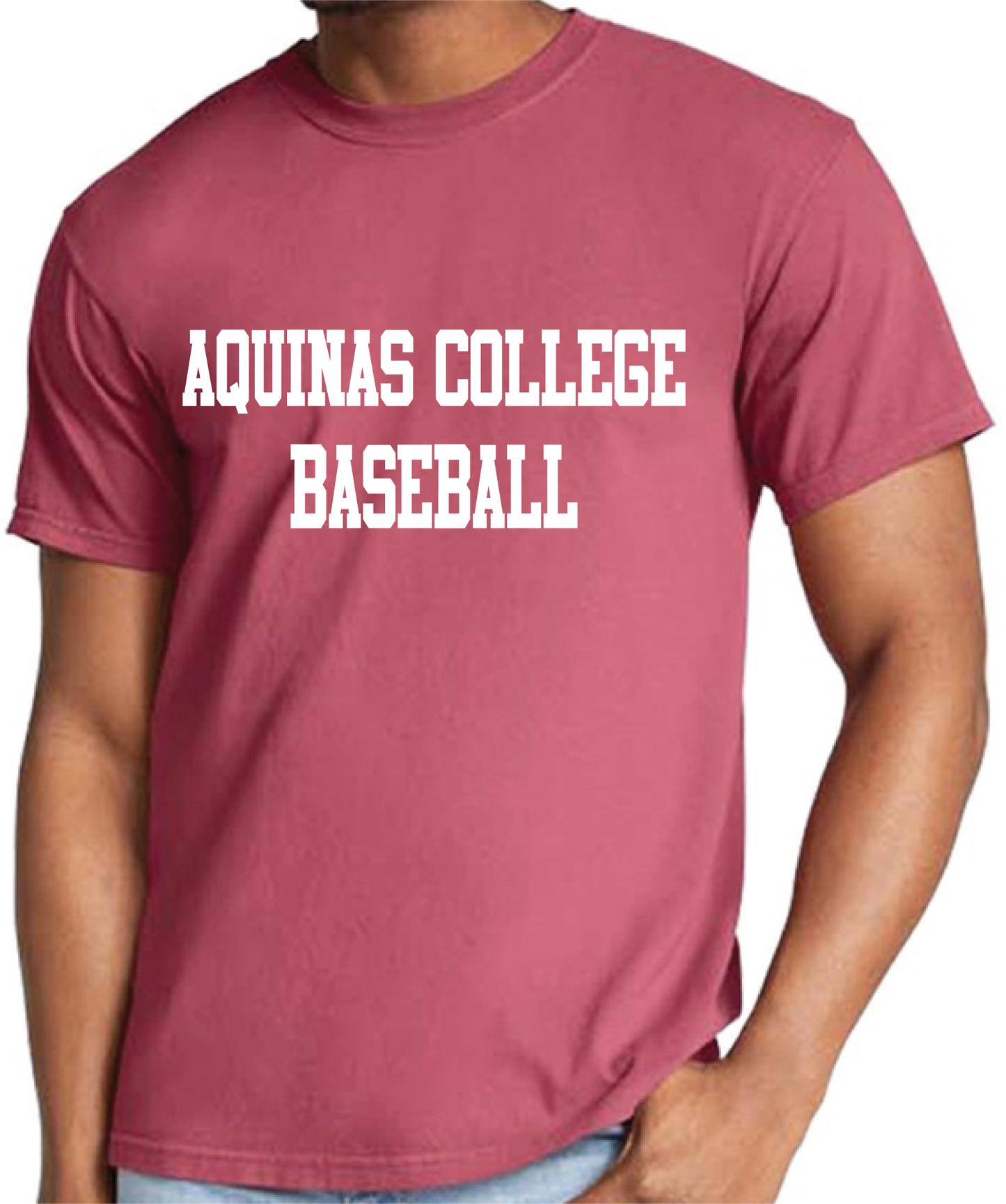 Aquinas College Baseball Tee