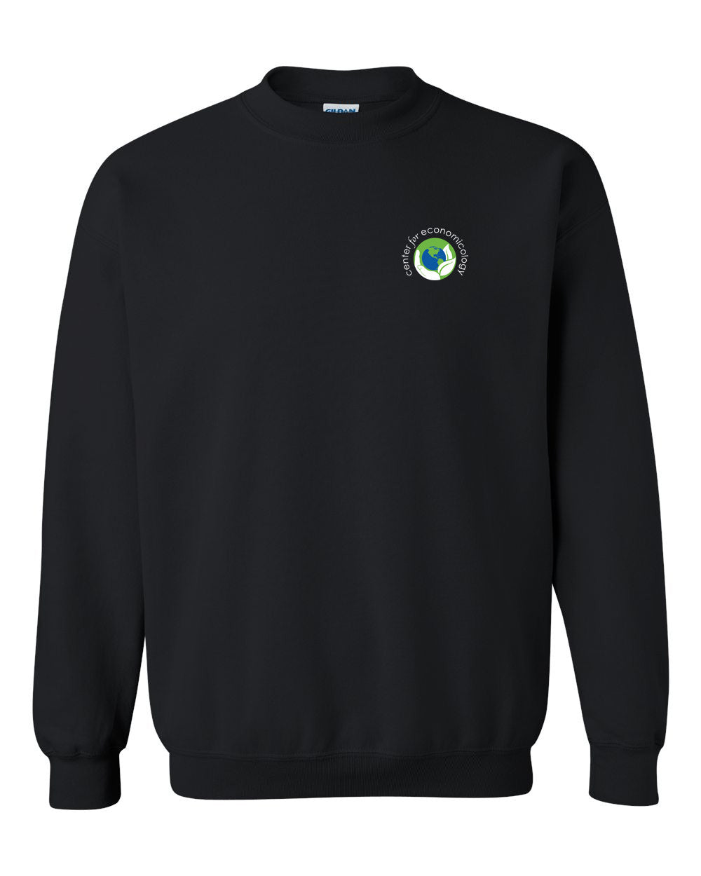 Center for Economicology Pull Over Sweatshirt