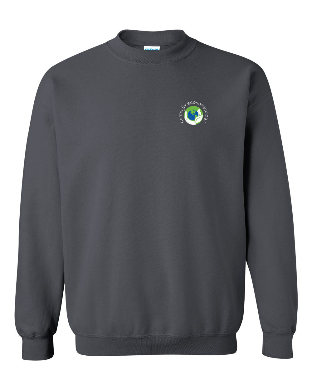 Center for Economicology Pull Over Sweatshirt